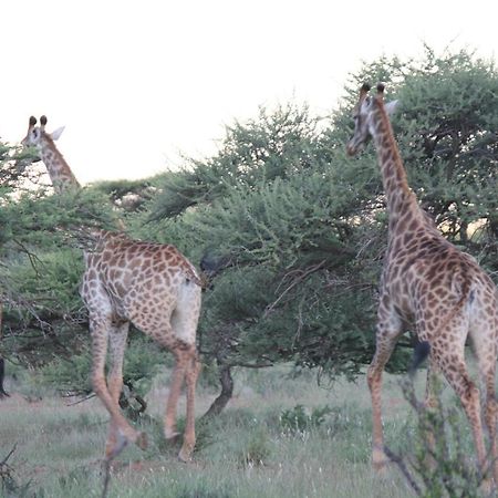 Wag N Bietjie Bush Lodge Heuningneskloof Buitenkant foto