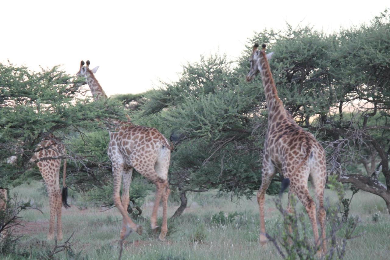 Wag N Bietjie Bush Lodge Heuningneskloof Buitenkant foto