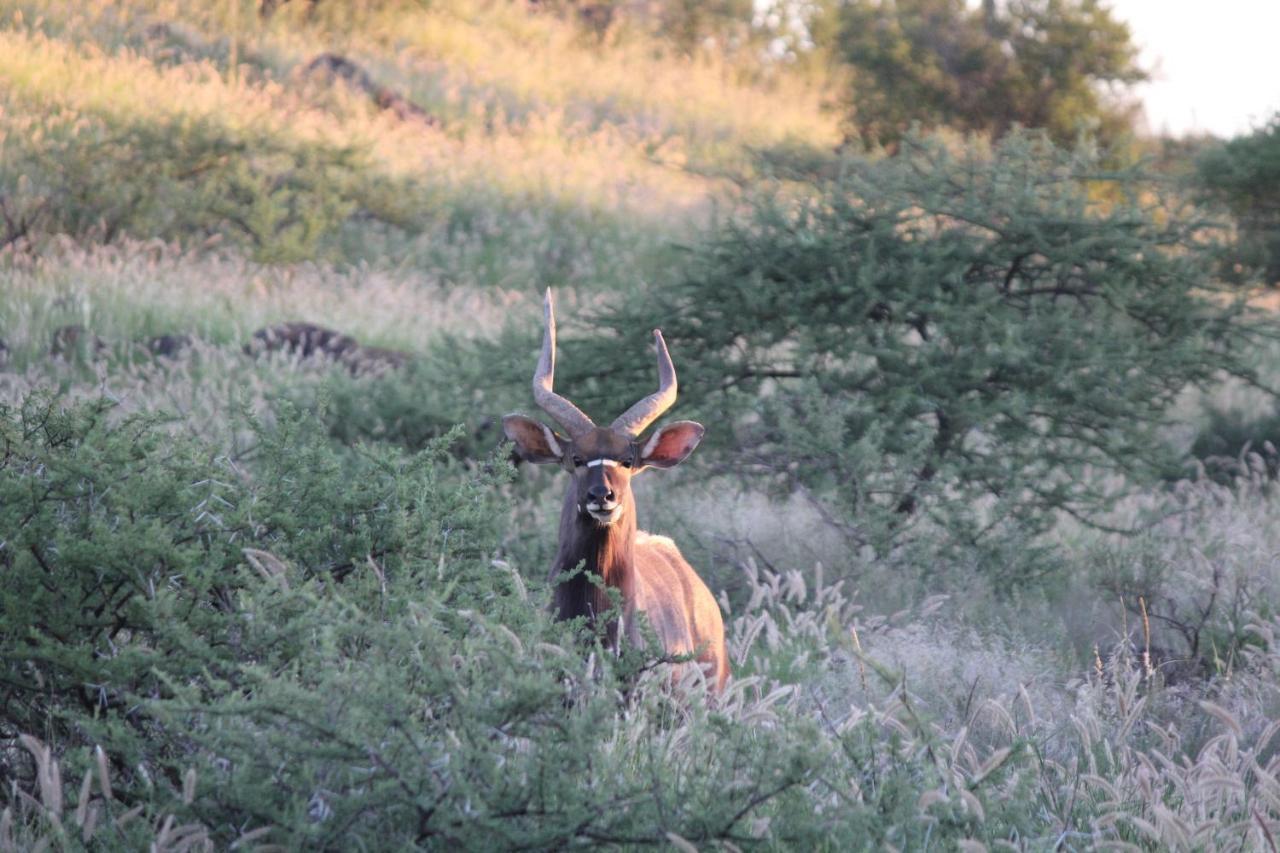 Wag N Bietjie Bush Lodge Heuningneskloof Buitenkant foto