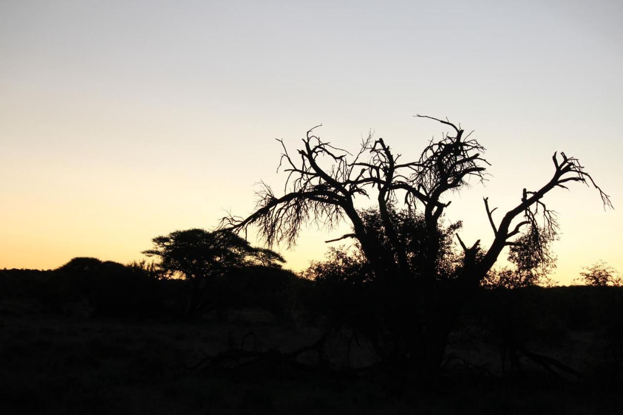 Wag N Bietjie Bush Lodge Heuningneskloof Buitenkant foto